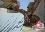 Image of Chimpanzee daisy track test New Mexico United States USA, 1959, second 34 stock footage video 65675080957