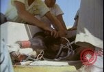 Image of Chimpanzee daisy track test New Mexico United States USA, 1959, second 40 stock footage video 65675080957