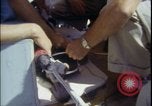 Image of Chimpanzee daisy track test New Mexico United States USA, 1959, second 57 stock footage video 65675080957