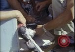 Image of Chimpanzee daisy track test New Mexico United States USA, 1959, second 61 stock footage video 65675080957