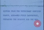 Image of chimpanzee rocket sled testing preparations New Mexico United States USA, 1960, second 1 stock footage video 65675080960