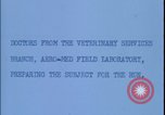 Image of chimpanzee rocket sled testing preparations New Mexico United States USA, 1960, second 3 stock footage video 65675080960