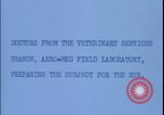 Image of chimpanzee rocket sled testing preparations New Mexico United States USA, 1960, second 4 stock footage video 65675080960