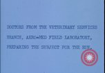 Image of chimpanzee rocket sled testing preparations New Mexico United States USA, 1960, second 5 stock footage video 65675080960