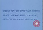 Image of chimpanzee rocket sled testing preparations New Mexico United States USA, 1960, second 6 stock footage video 65675080960