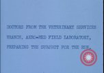 Image of chimpanzee rocket sled testing preparations New Mexico United States USA, 1960, second 7 stock footage video 65675080960