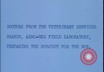 Image of chimpanzee rocket sled testing preparations New Mexico United States USA, 1960, second 8 stock footage video 65675080960