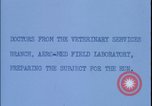 Image of chimpanzee rocket sled testing preparations New Mexico United States USA, 1960, second 9 stock footage video 65675080960