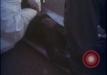 Image of chimpanzee rocket sled testing preparations New Mexico United States USA, 1960, second 34 stock footage video 65675080960