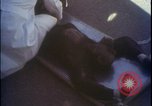 Image of chimpanzee rocket sled testing preparations New Mexico United States USA, 1960, second 36 stock footage video 65675080960