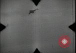 Image of Fighter aircraft chase and elimination Europe, 1944, second 46 stock footage video 65675080968