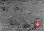Image of Bayonet field exercise United States USA, 1938, second 13 stock footage video 65675080975