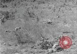 Image of Bayonet field exercise United States USA, 1938, second 25 stock footage video 65675080975