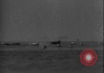 Image of seal filming Germany, 1940, second 5 stock footage video 65675080991