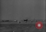 Image of seal filming Germany, 1940, second 8 stock footage video 65675080991