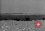 Image of seal filming Germany, 1940, second 10 stock footage video 65675080991