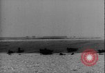 Image of seal filming Germany, 1940, second 11 stock footage video 65675080991