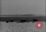 Image of seal filming Germany, 1940, second 12 stock footage video 65675080991