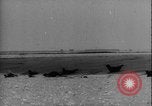 Image of seal filming Germany, 1940, second 13 stock footage video 65675080991