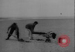 Image of seal filming Germany, 1940, second 15 stock footage video 65675080991