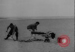 Image of seal filming Germany, 1940, second 16 stock footage video 65675080991