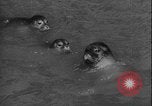 Image of seal filming Germany, 1940, second 19 stock footage video 65675080991