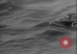 Image of seal filming Germany, 1940, second 34 stock footage video 65675080991