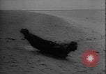 Image of seal filming Germany, 1940, second 35 stock footage video 65675080991