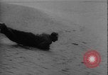 Image of seal filming Germany, 1940, second 36 stock footage video 65675080991