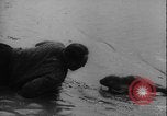 Image of seal filming Germany, 1940, second 41 stock footage video 65675080991