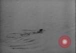 Image of seal filming Germany, 1940, second 52 stock footage video 65675080991
