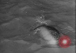 Image of seal filming Germany, 1940, second 54 stock footage video 65675080991