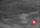 Image of seal filming Germany, 1940, second 55 stock footage video 65675080991
