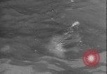 Image of seal filming Germany, 1940, second 56 stock footage video 65675080991