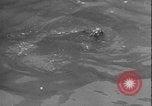 Image of seal filming Germany, 1940, second 58 stock footage video 65675080991