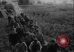 Image of potato harvest Germany, 1940, second 4 stock footage video 65675080992