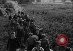 Image of potato harvest Germany, 1940, second 5 stock footage video 65675080992
