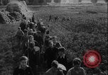 Image of potato harvest Germany, 1940, second 6 stock footage video 65675080992