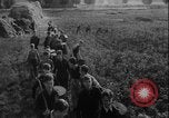 Image of potato harvest Germany, 1940, second 7 stock footage video 65675080992