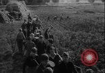 Image of potato harvest Germany, 1940, second 8 stock footage video 65675080992