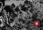 Image of potato harvest Germany, 1940, second 14 stock footage video 65675080992