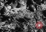 Image of potato harvest Germany, 1940, second 15 stock footage video 65675080992