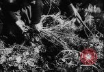 Image of potato harvest Germany, 1940, second 16 stock footage video 65675080992