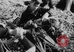 Image of potato harvest Germany, 1940, second 22 stock footage video 65675080992