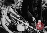 Image of potato harvest Germany, 1940, second 27 stock footage video 65675080992
