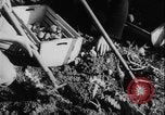 Image of potato harvest Germany, 1940, second 30 stock footage video 65675080992