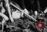 Image of potato harvest Germany, 1940, second 31 stock footage video 65675080992