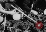 Image of potato harvest Germany, 1940, second 32 stock footage video 65675080992