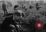 Image of potato harvest Germany, 1940, second 39 stock footage video 65675080992