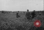 Image of potato harvest Germany, 1940, second 42 stock footage video 65675080992